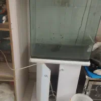 آکواریوم