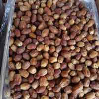 خرما|خوردنی و آشامیدنی|برازجان, |دیوار