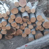 خرید و فروش انواع چوب صنعتی و هیزمی