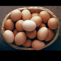 تخم مرغ محلی