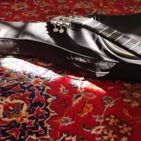 فروش گیتار کاملا نو