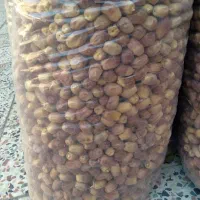 قصب کیلو ۹۰