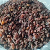 کشمش درجه یک تاکستان