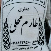 برنج طارم محلی باکالابرگ