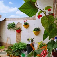 منزل طبقه بالا بسیار تمیز و شیک ۵۰۰ دستگاه|فروش خانه و ویلا|بهبهان, |دیوار