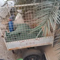 فورش فوری گاری