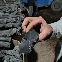 زغال انگور|عمده‌فروشی|ملارد, |دیوار