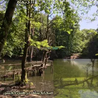 تور یکروزه مرداب هسل