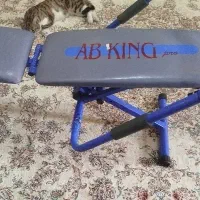 وسایل ورزشی تردمیل، آب کینگ، مسگری..