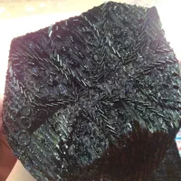 شال مجلسی|لباس|ازنا, |دیوار