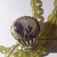 انگشتر شجر اصل که ۲میل رشد کرده