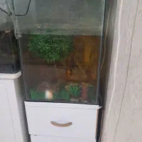 انواع آکواریوم|ماهی|نیشابور, مسکن مهر نور|دیوار