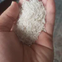 برنج فجر سوزنی بسیار تمیز ۹۰ روزه خودمون کشاورزیم