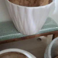 س عدد گلدون|گل و گیاه طبیعی|نیشابور, گنبد سبز|دیوار