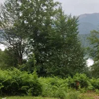 خدمات هتل خانه داری