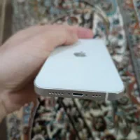 ایفون 13 نرمال|موبایل|مهاباد (آذربایجان غربی), |دیوار