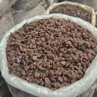 کشمش ابگیری مرکزی اقتپه|خوردنی و آشامیدنی|کرج, احدآباد|دیوار