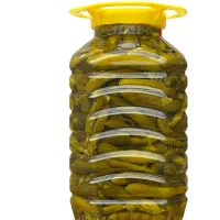 خیارشور