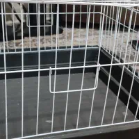 قفس|لوازم جانبی حیوانات|تهران, مقدم|دیوار