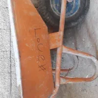 فرقون|پرنده|آزادشهر, |دیوار