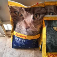 غذای گربه جوسرا