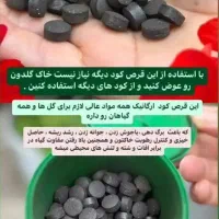 قرص کود|گل و گیاه طبیعی|تهران, چهارصد دستگاه|دیوار