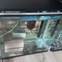 ماهی با اکواریوم ولوازم کامل|ماهی|تهران, شهرک امام خمینی|دیوار