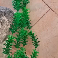 لوازم آکواریوم|لوازم جانبی حیوانات|دماوند, گیلاوند|دیوار