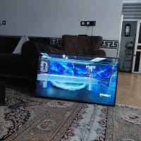 تلوزیون فلیپس