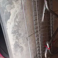 دوچرخه وغیره|دوچرخه، اسکیت، اسکوتر|خوی, |دیوار