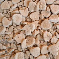 کشک محلی بز شهر ایلام