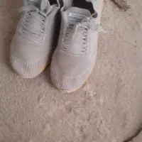 کفش کتونی  سفید|کیف، کفش، کمربند|گنبد کاووس, |دیوار