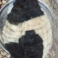 فروش خیگ روغن