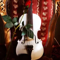 خرید و فروش ویولن