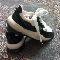 تعدادی کفش ودمپای