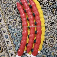 حلقه ورزشی