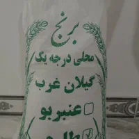 برنج طارم