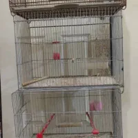 قفس پرنده