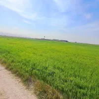 کشاورزی-اجاره-ای-از-1-تا-6-سال