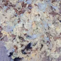 پشم گوسفند تازه