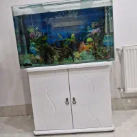 دیسکس
