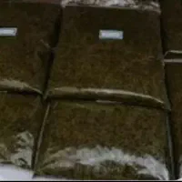 سبزی خورشتی