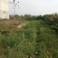 فروش زمین ۷۰ متری|فروش زمین و ملک کلنگی|رشت, کوی فکوری|دیوار