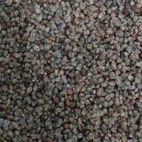 کشمش تمیز و پاک شده ملکان