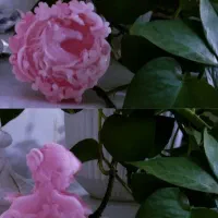 شمع سازی|صنایع دستی و سایر لوازم تزئینی|نی‌ریز, |دیوار