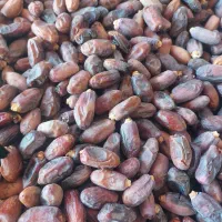 دیری درجه یک کیلو ۹۰|خوردنی و آشامیدنی|اهواز, دغاغله|دیوار
