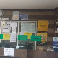 نیازمند همکار خانم
