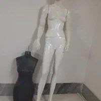 مانکن قیمت مناسب