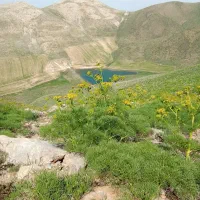 زمین
