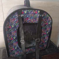 باکس پرنده و پت